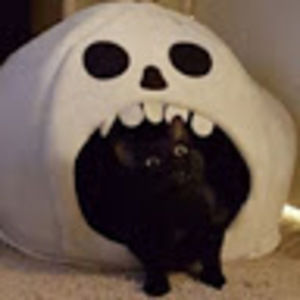 Meet your Posher, Just